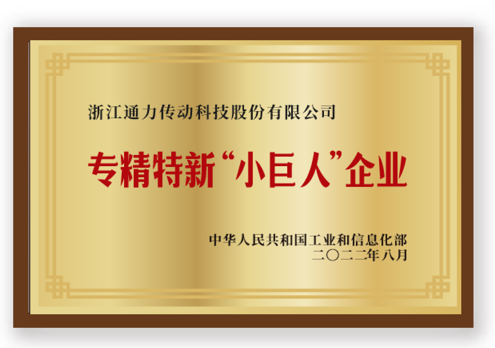 专精特新'小巨人'企业