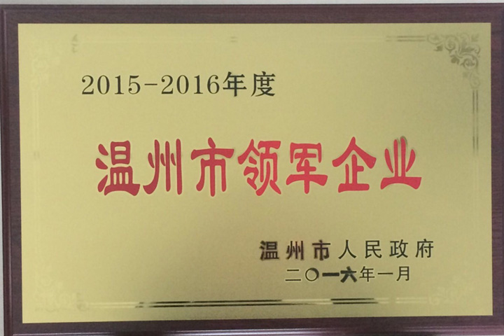 “2015—2016年度温州市领军企业”——浙江金沙澳门(中国)唯一官方网站榜上有名